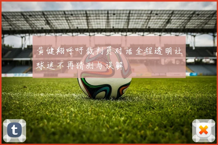 黄健翔呼吁裁判员对话全程透明让球迷不再猜测与误解