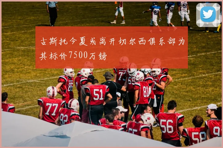 古斯托今夏或离开切尔西俱乐部为其标价7500万镑