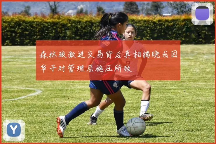 森林狼激进交易背后真相揭晓或因华子对管理层施压所致